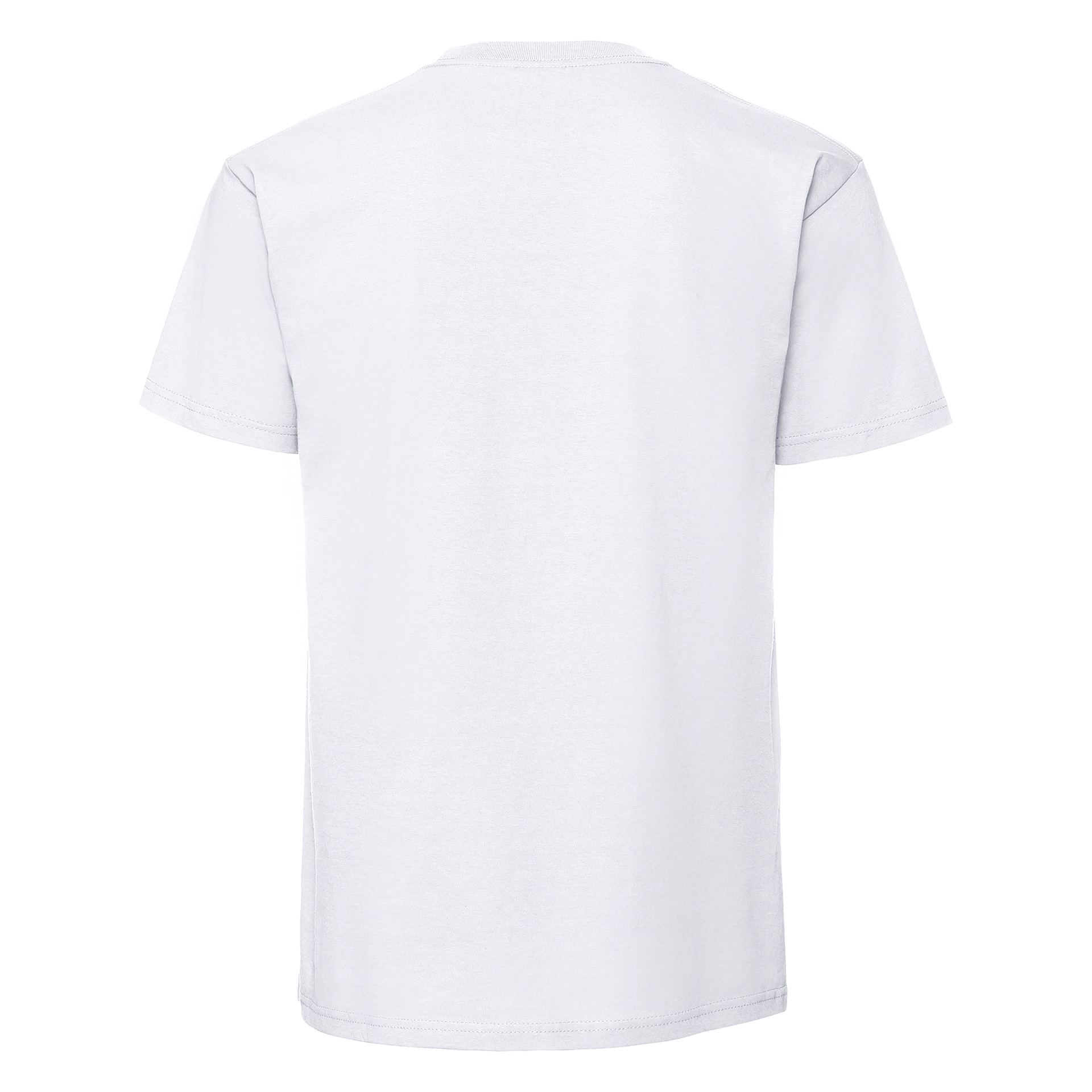 Camiseta fruit of the loom iconic 195 premium tees adulto - Imagen 3