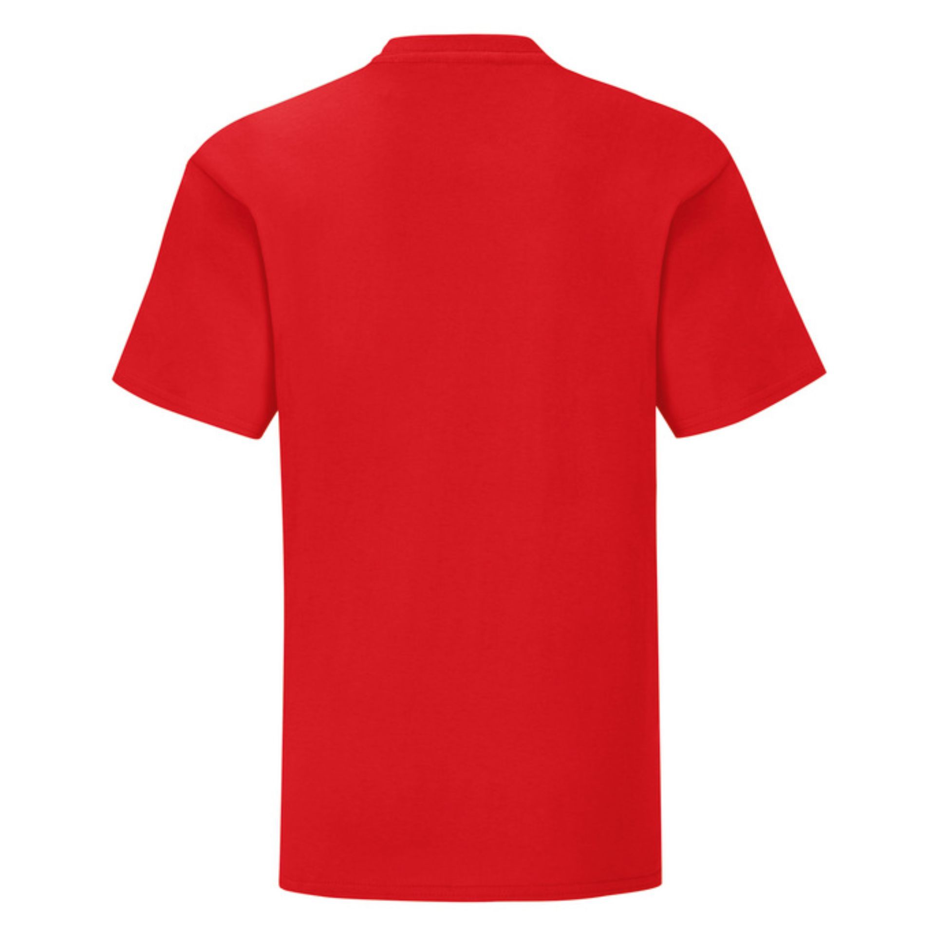 Camiseta fruit of the loom kids iconic 150 t - Imagen 26