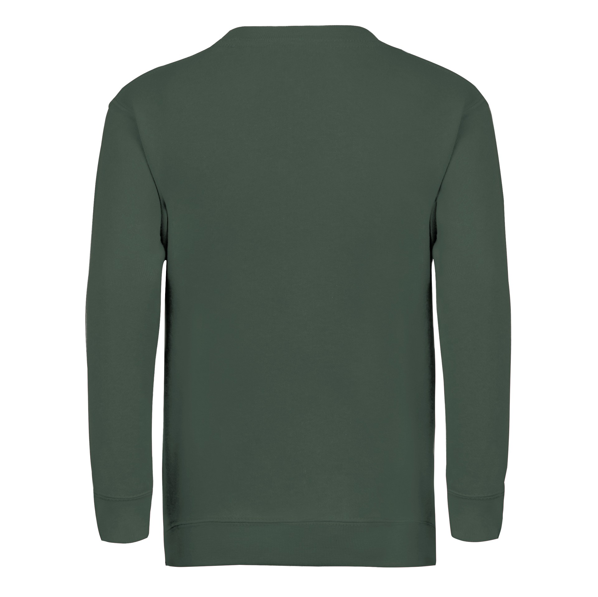Sudadera fruit of the loom infantil classic set-⁠in sweat - Imagen 24